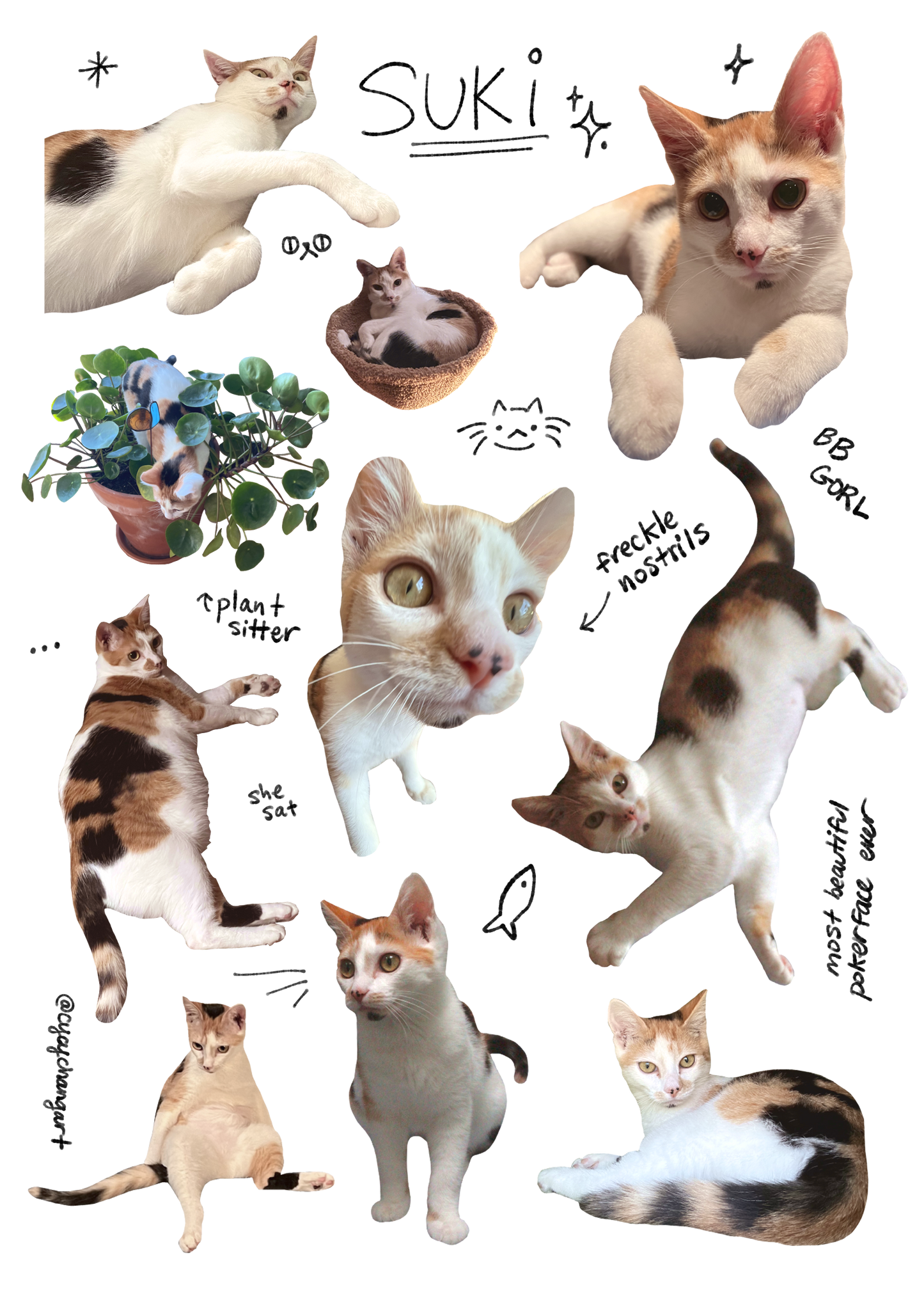 Cat sticker sheet SUKI