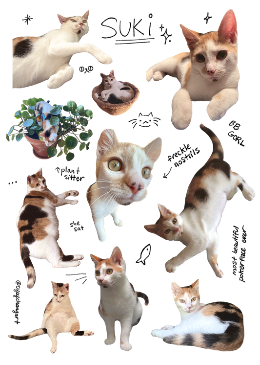 Cat sticker sheet SUKI