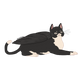 Tuxedo Cat Angel Sticker